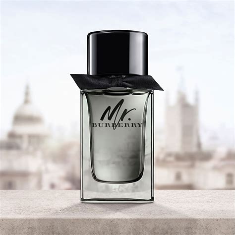 nước hoa mr burberry indigo leflair|Nước Hoa Nam Burberry Mr. Burberry Indigo EDT 100ml.